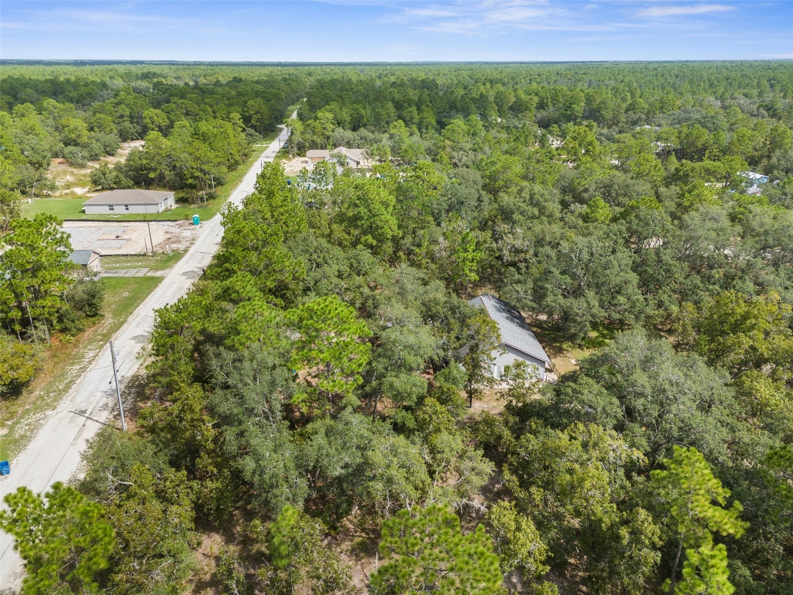 15236 Mottled Owl Road Brooksville FL 34614 W7882192 image16