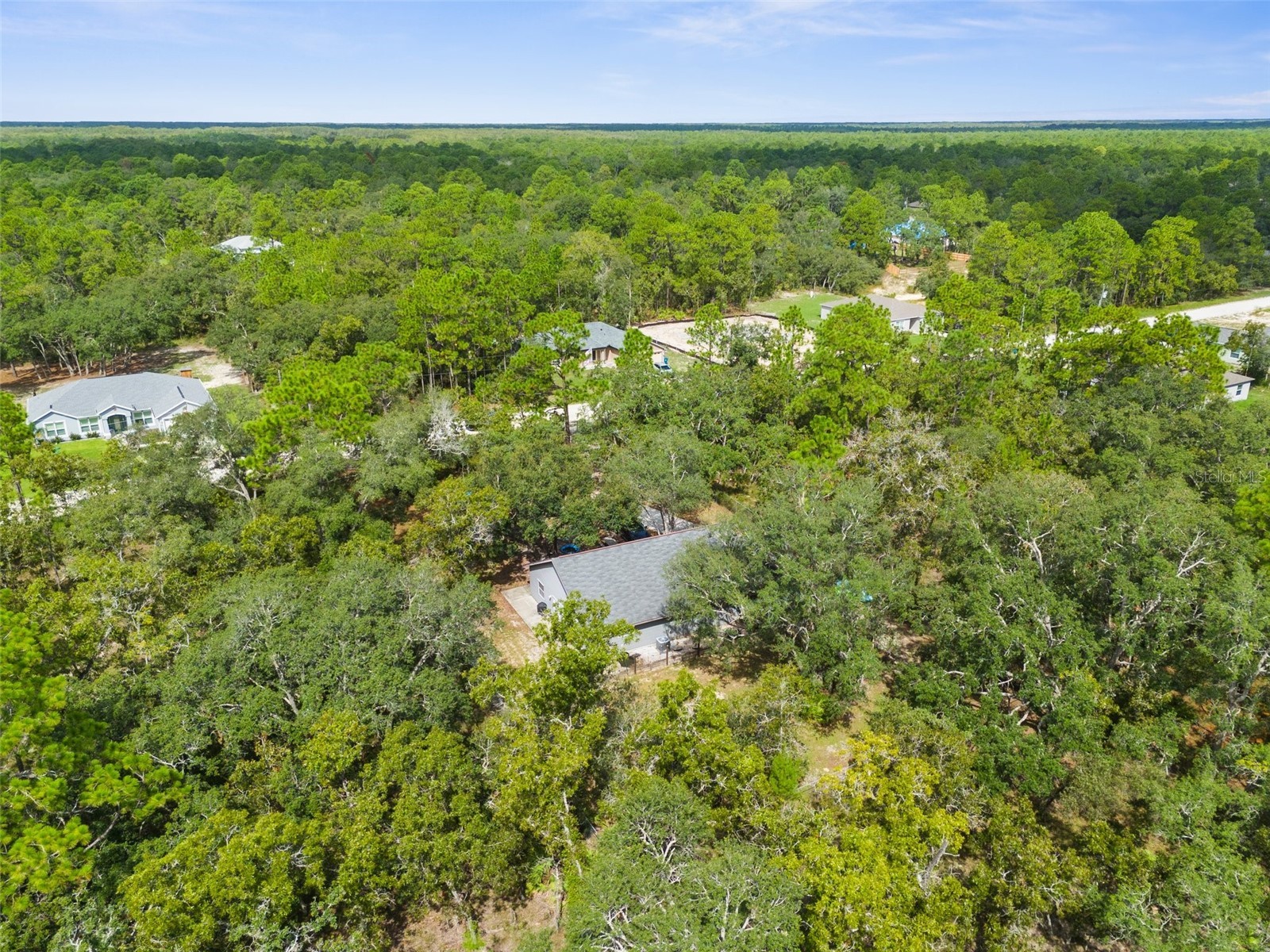 15236 Mottled Owl Road Brooksville FL 34614 W7882192 image17