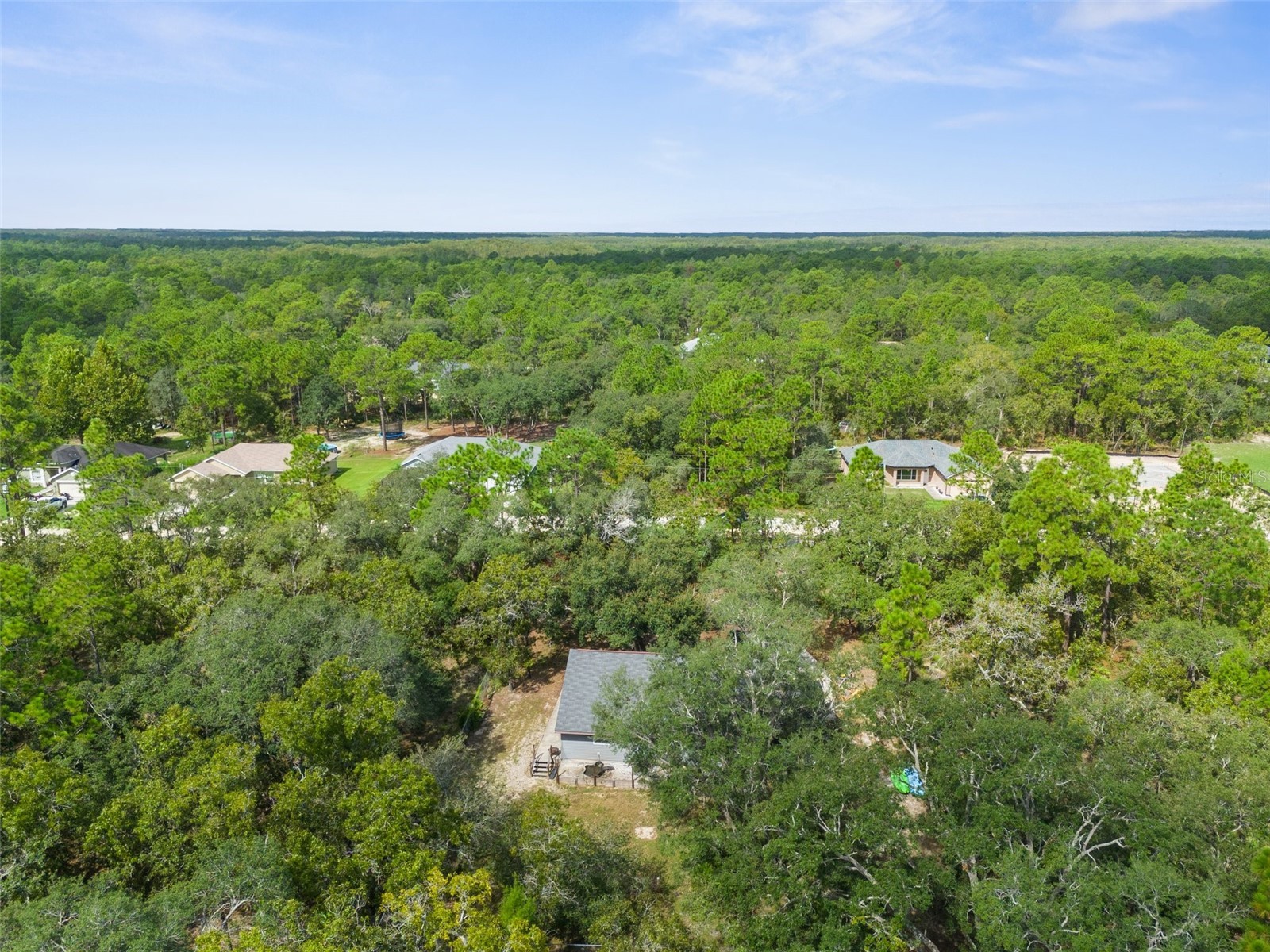 15236 Mottled Owl Road Brooksville FL 34614 W7882192 image18