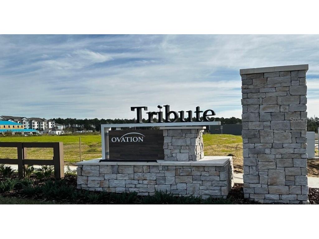 15236 Tribute Ovation Way Winter Garden FL 34787 O6411042 image28
