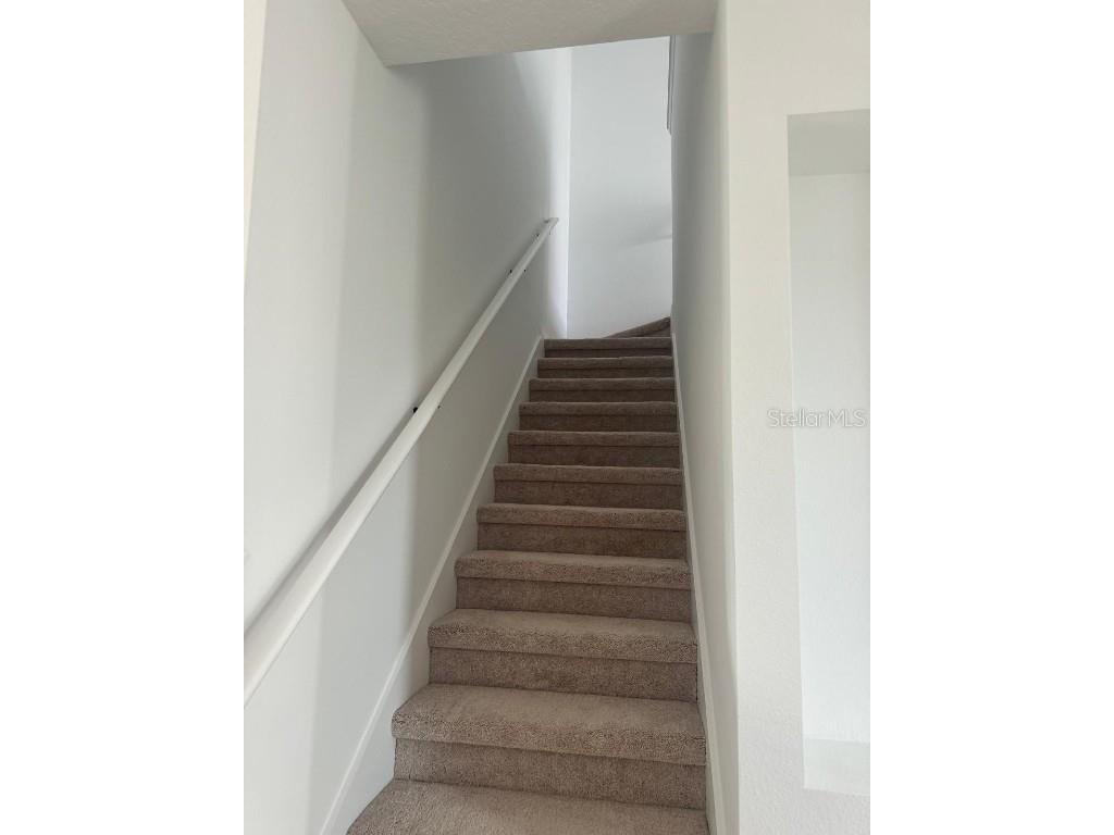 15238 Blue Peacock Lane Winter Garden FL 34787 O6364756 image8