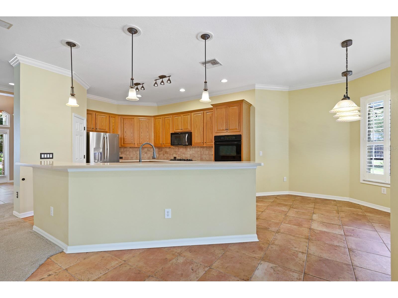 15239 Kestrelrise Drive Lithia FL 33547 TB8470740 image10