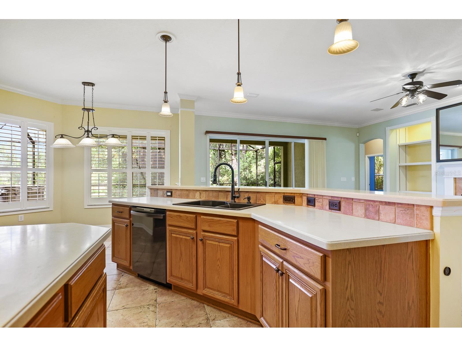 15239 Kestrelrise Drive Lithia FL 33547 TB8470740 image13