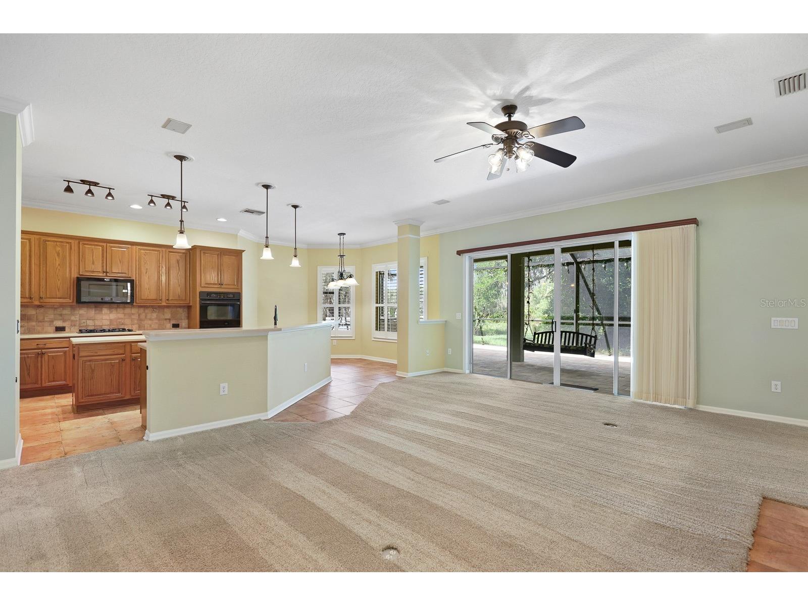 15239 Kestrelrise Drive Lithia FL 33547 TB8470740 image15