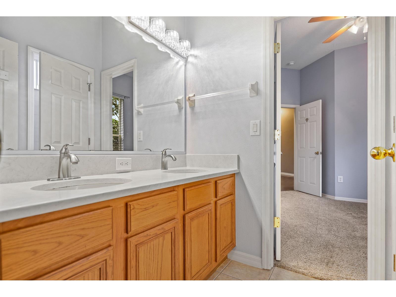 15239 Kestrelrise Drive Lithia FL 33547 TB8470740 image22