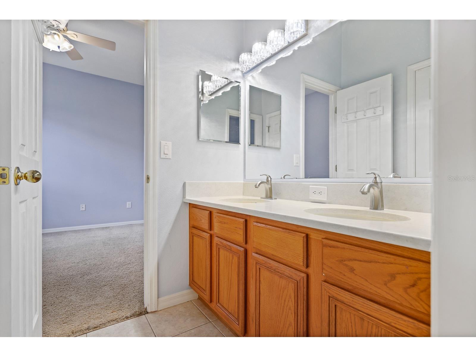 15239 Kestrelrise Drive Lithia FL 33547 TB8470740 image24