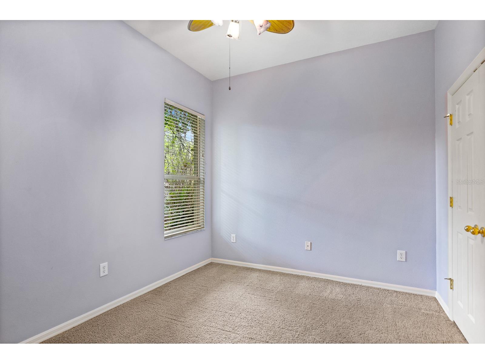 15239 Kestrelrise Drive Lithia FL 33547 TB8470740 image29