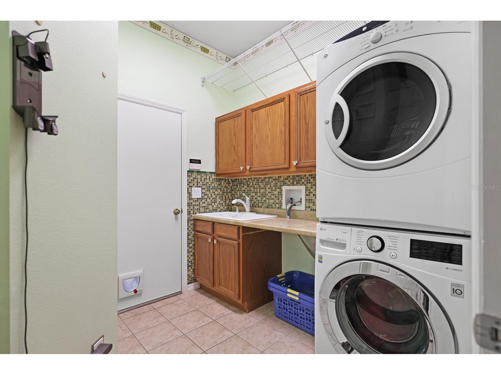 15239 Kestrelrise Drive Lithia FL 33547 TB8470740 image36