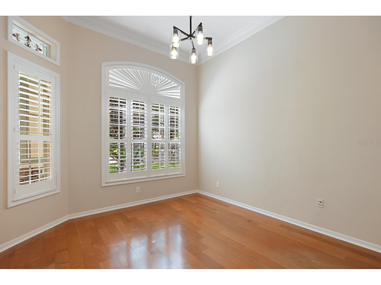 15239 Kestrelrise Drive Lithia FL 33547 TB8470740 image4