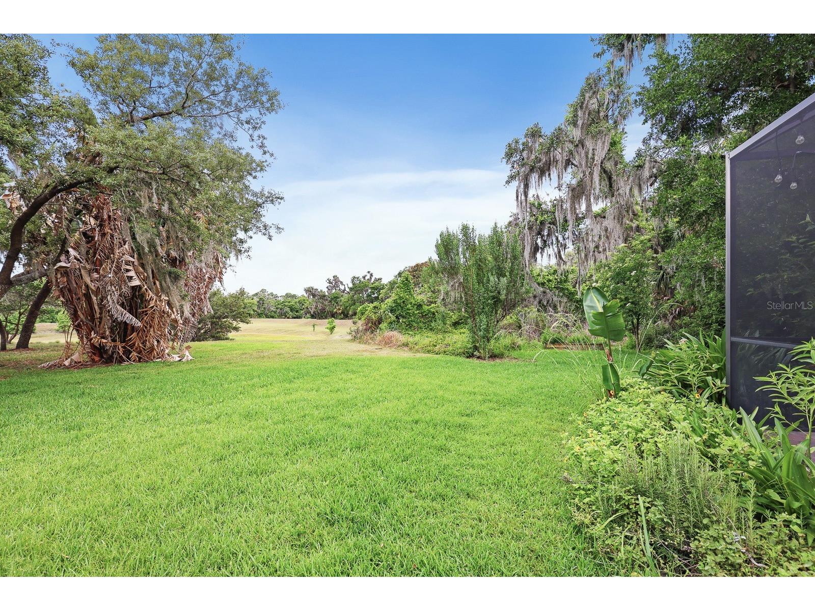 15239 Kestrelrise Drive Lithia FL 33547 TB8470740 image45