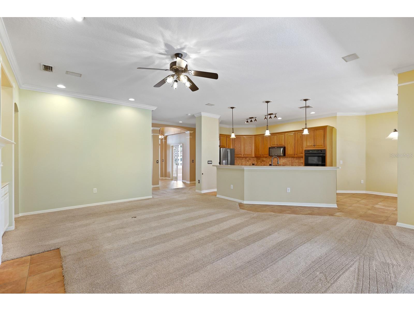 15239 Kestrelrise Drive Lithia FL 33547 TB8470740 image9