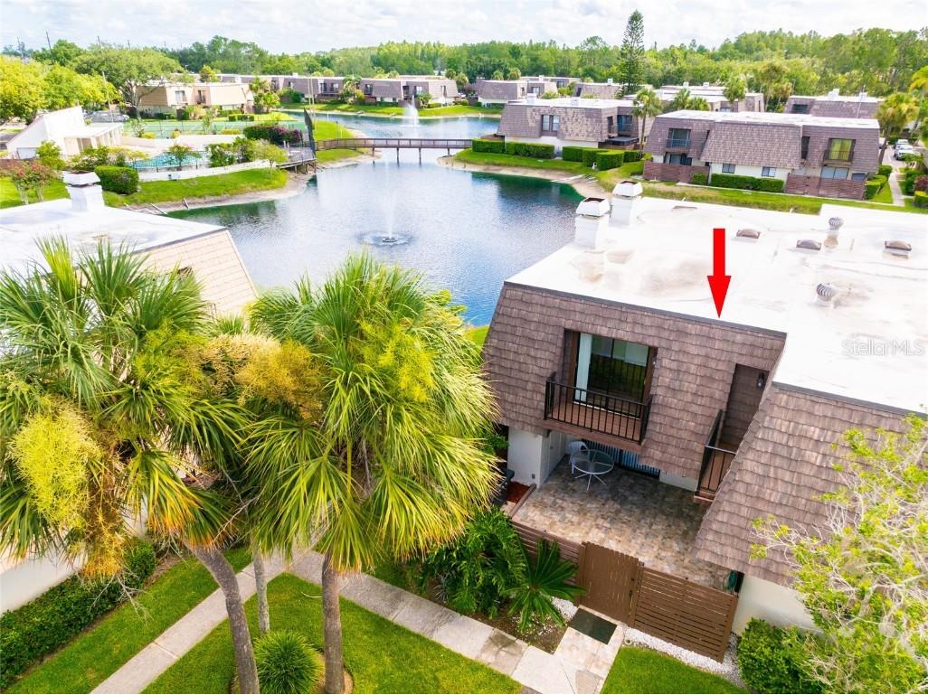 15239 W Pond Woods Drive #402 Tampa FL 33618 TB8408227 image36