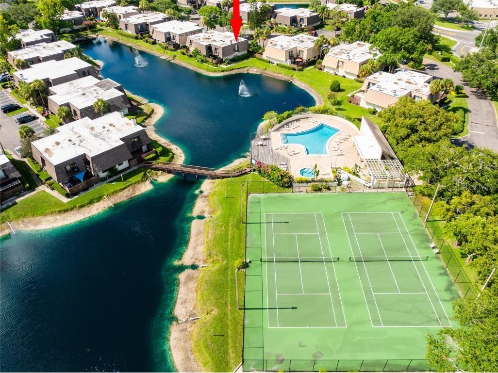 15239 W Pond Woods Drive #402 Tampa FL 33618 TB8408227 image37