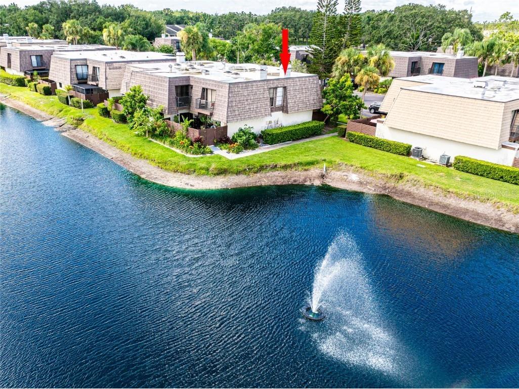 15239 W Pond Woods Drive #402 Tampa FL 33618 TB8408227 image38