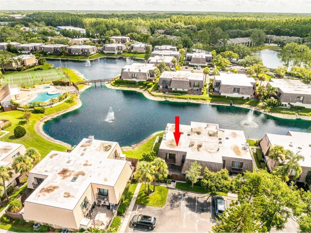 15239 W Pond Woods Drive #402 Tampa FL 33618 TB8408227 image39