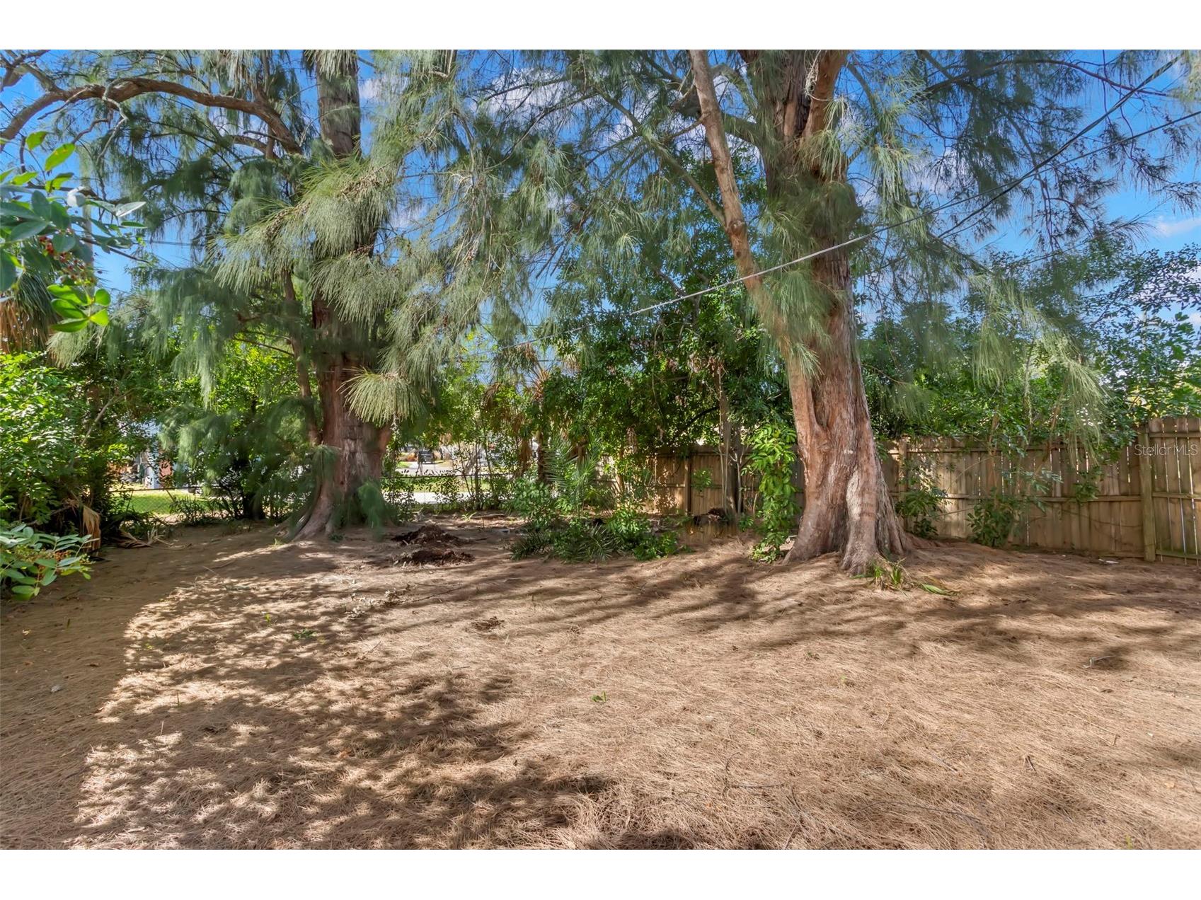 1524 Arizona Avenue NE Saint Petersburg FL 33703 TB8525634 image25