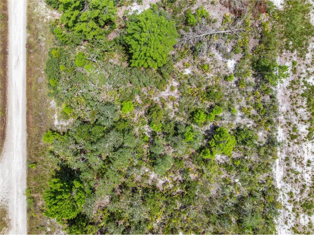 1524 Barn Owl Street Sebring FL 33870 S5133233 image27