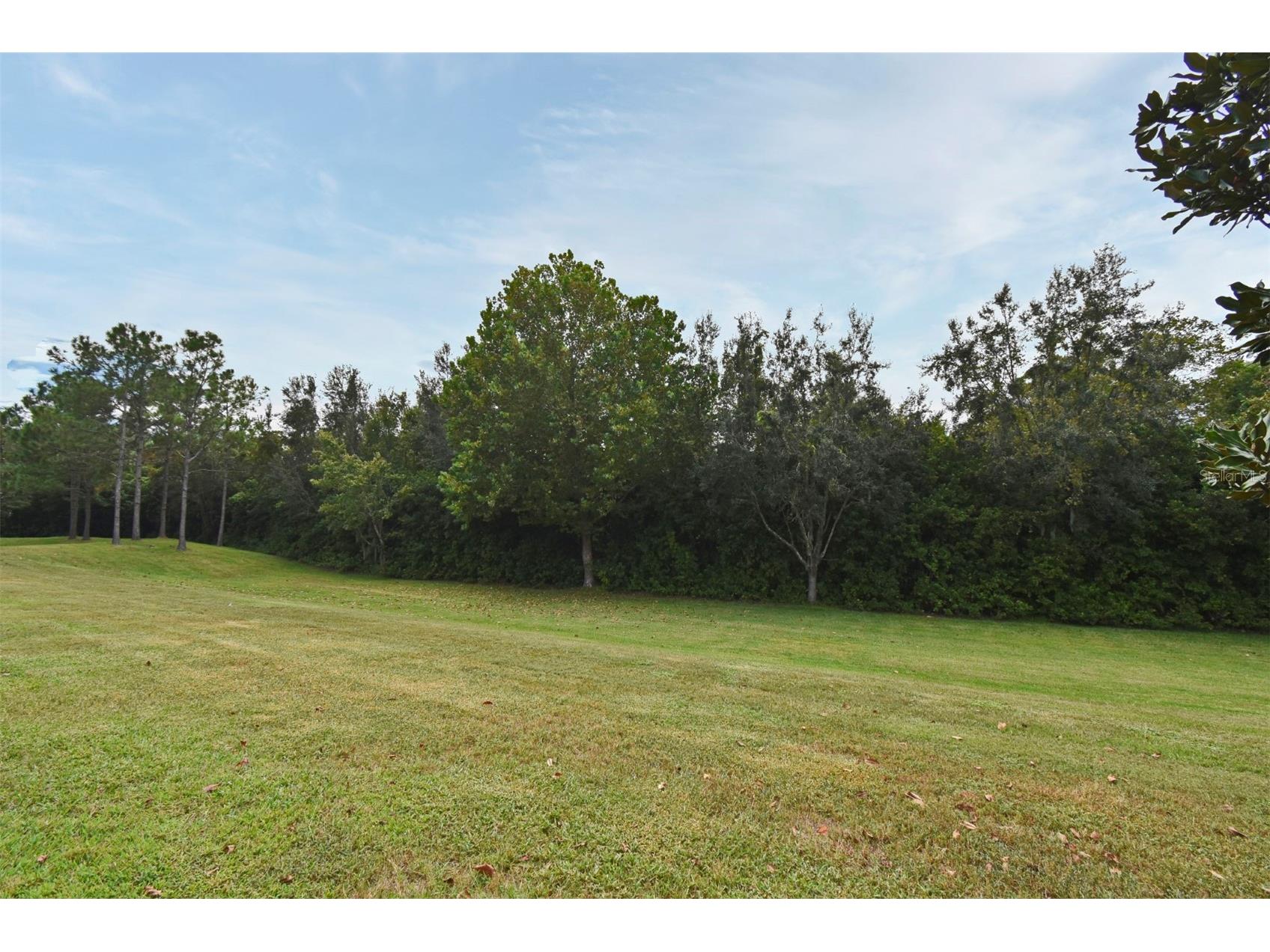 1524 Downy Birch Lane Longwood FL 32750 O6348264 image32