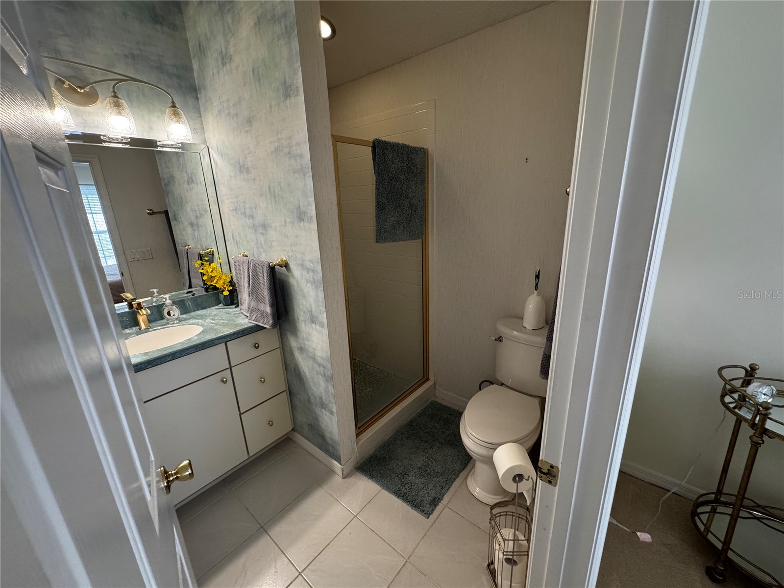 1524 Martinez Drive Lady Lake FL 32159 G5111613 image8