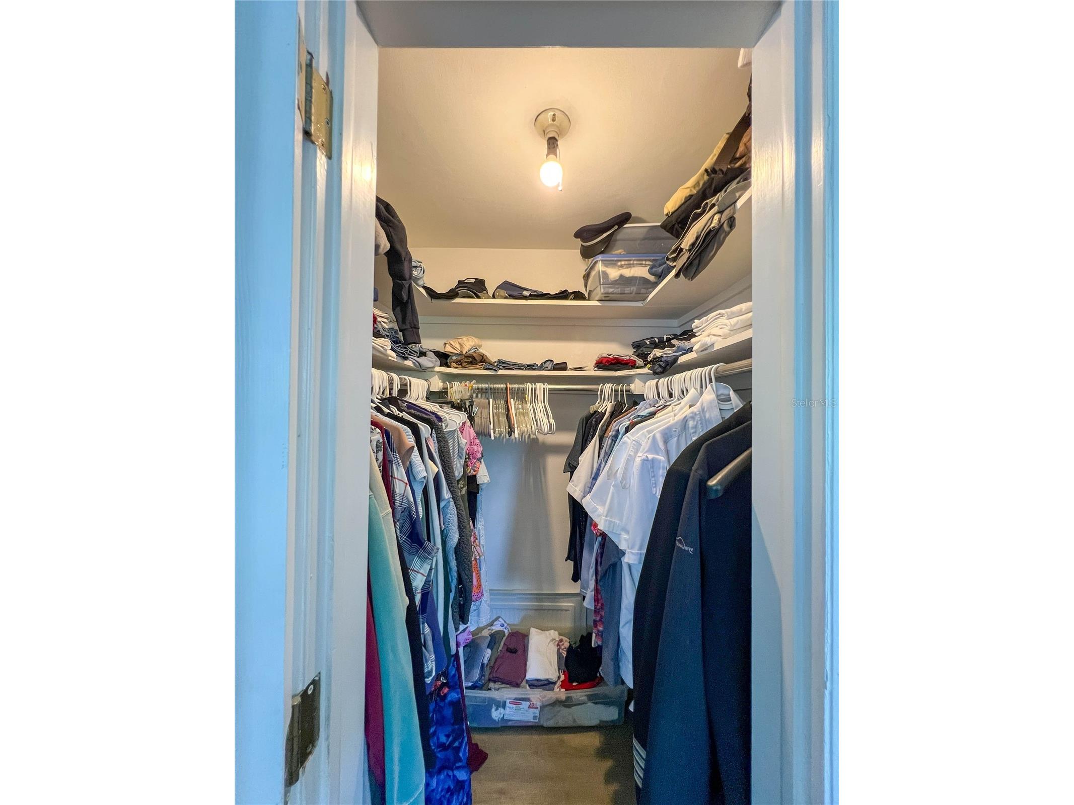 1524 S Fredrica Avenue Clearwater FL 33756 TB8517697 image21