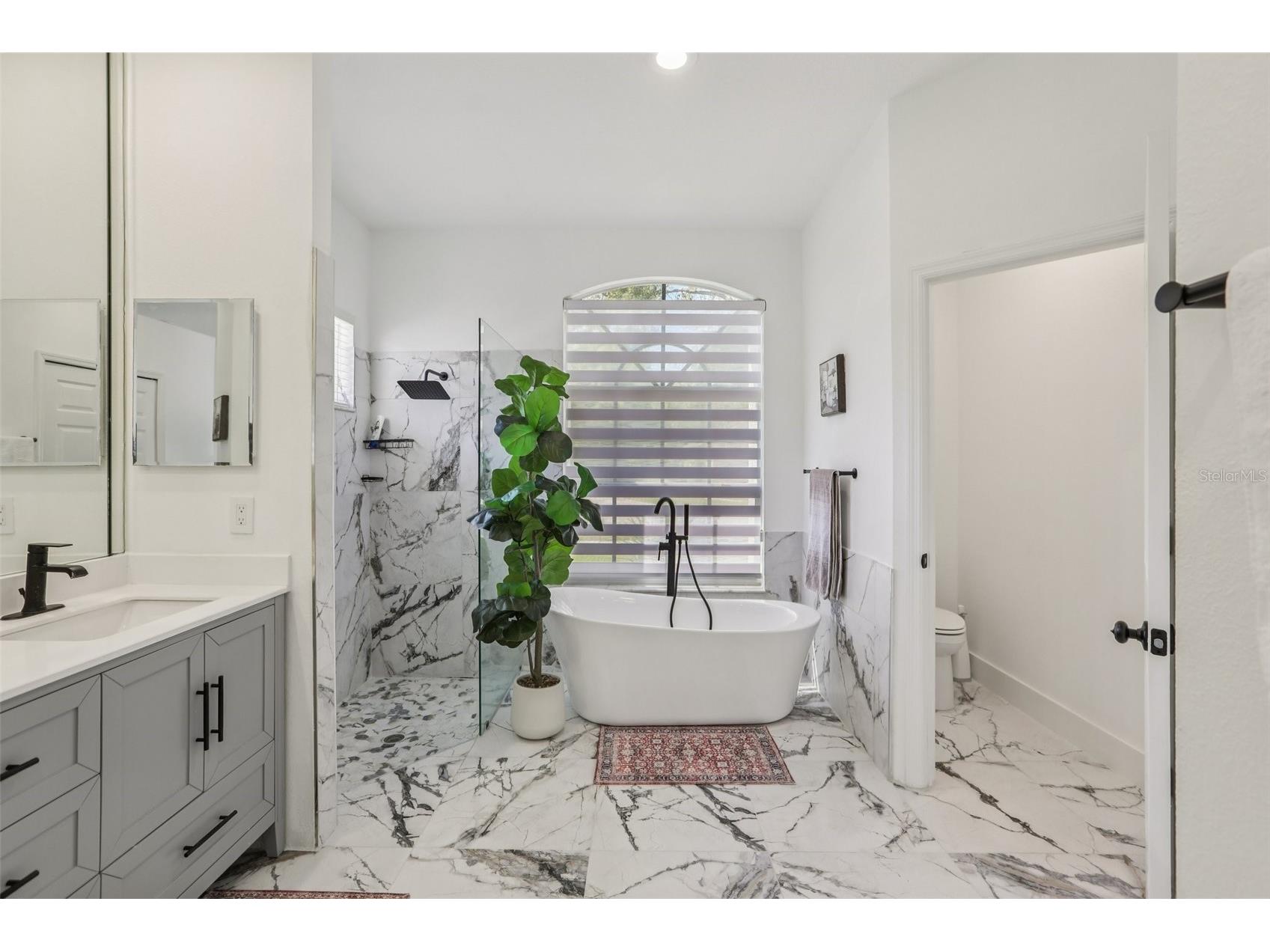 1524 Stipule Court Trinity FL 34655 TB8488603 image23