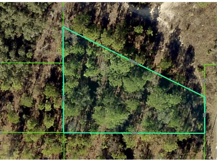 15241 Barron Court Brooksville FL 34614 W7875540 image1
