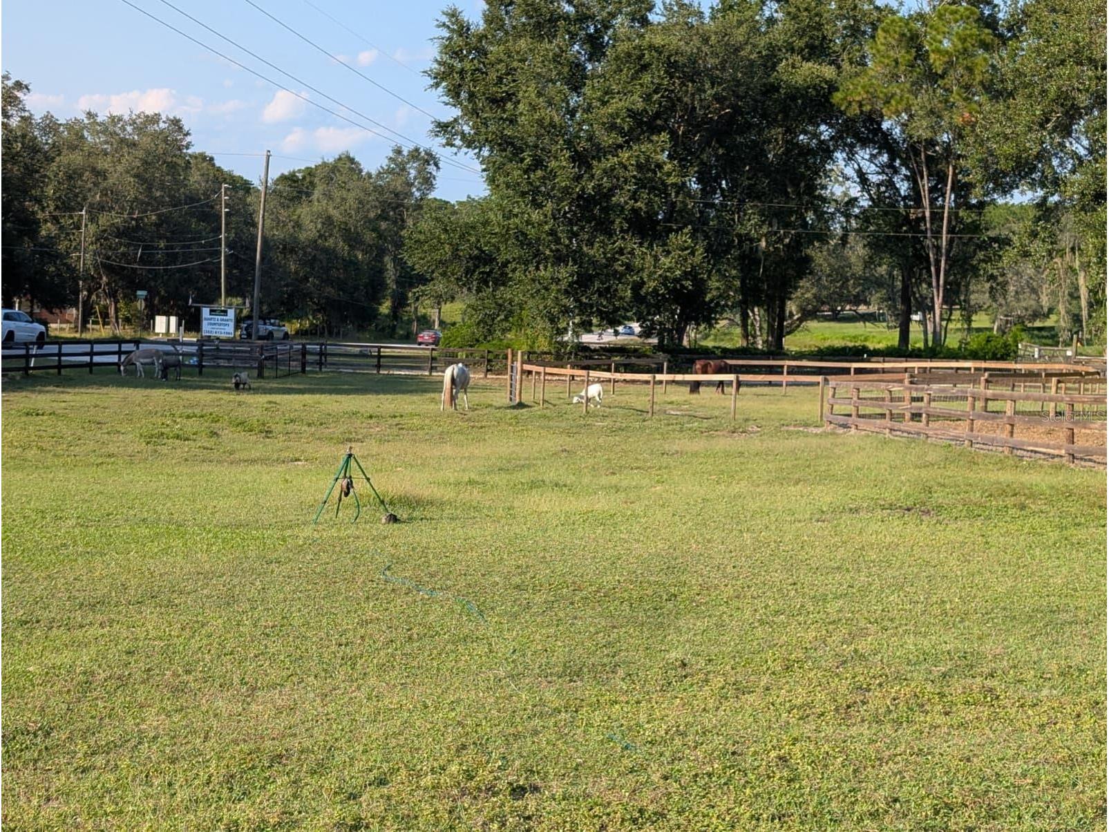 15243 S Highway 25 Weirsdale FL 32195 O6397100 image21