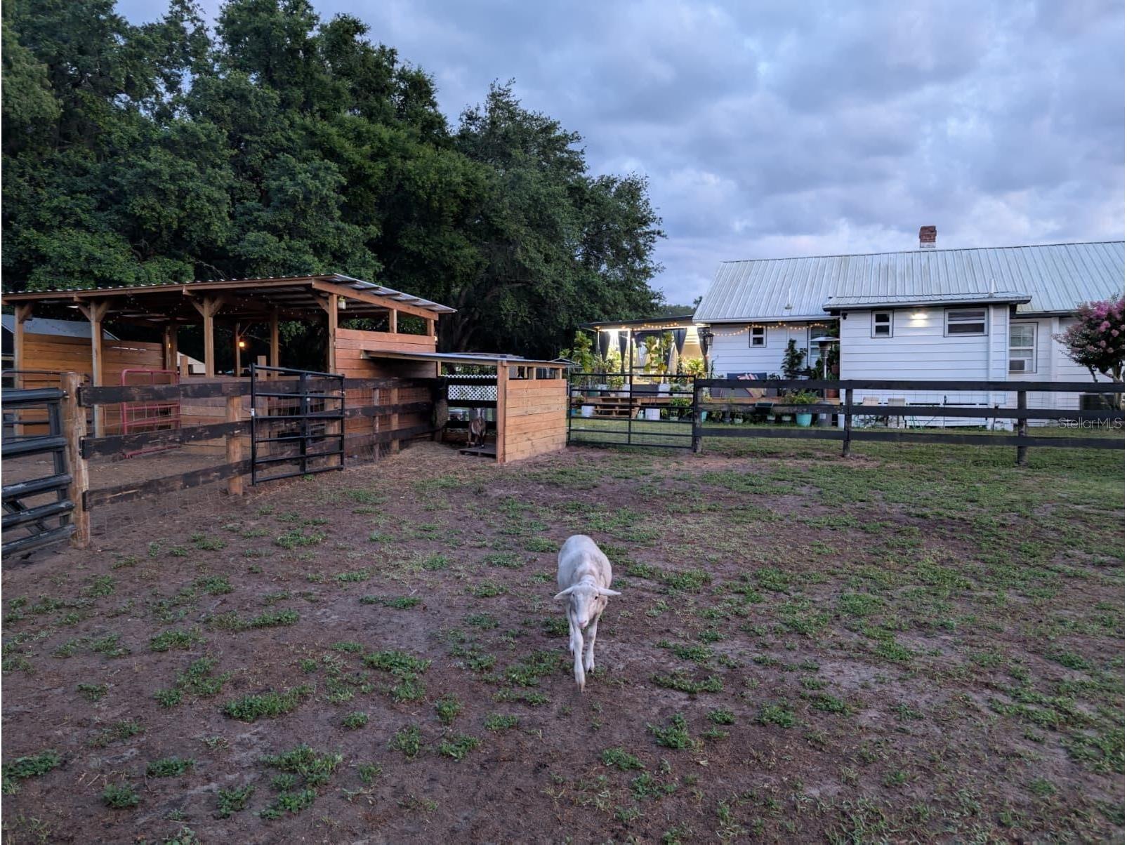 15243 S Highway 25 Weirsdale FL 32195 O6397100 image26