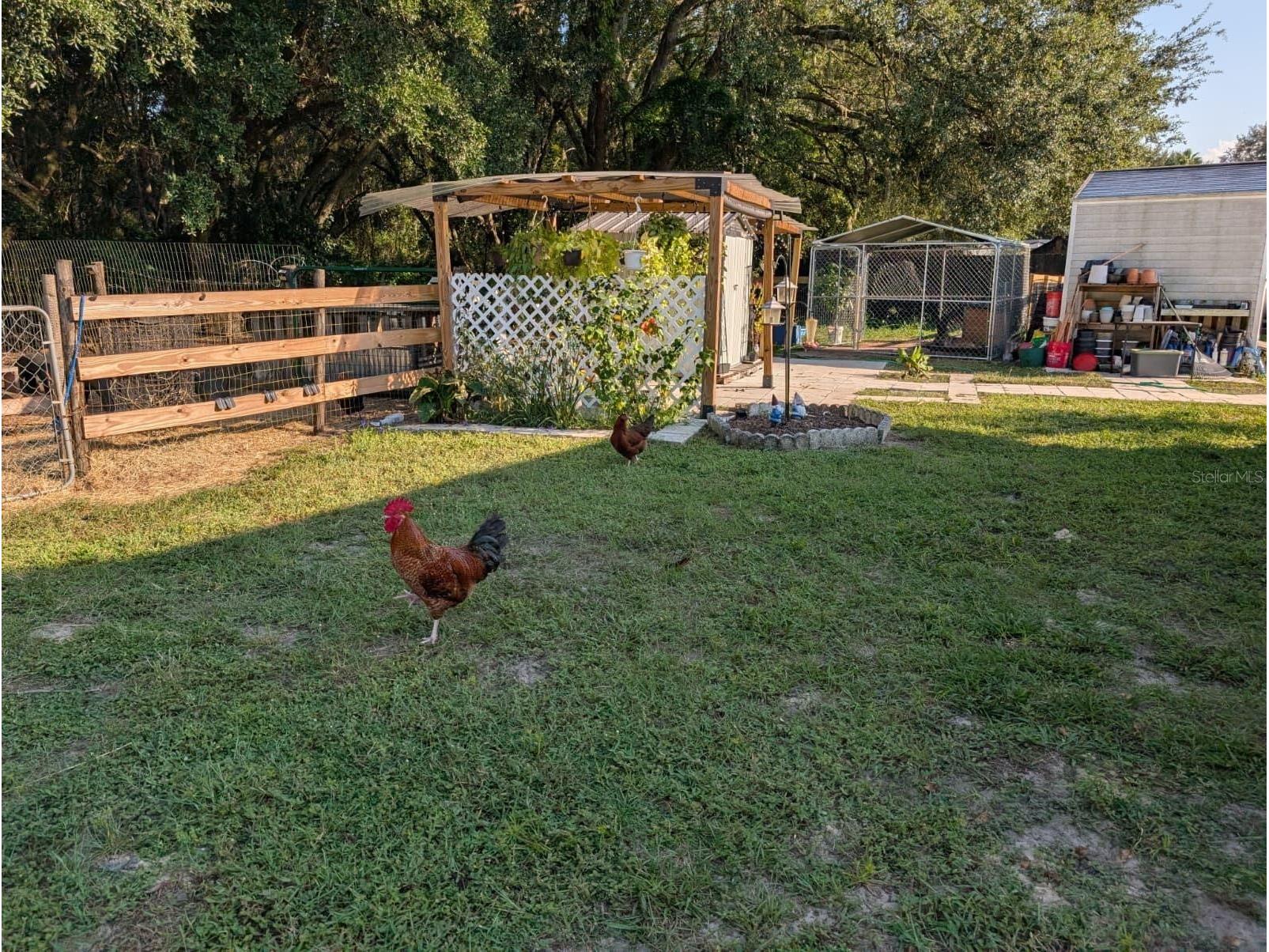 15243 S Highway 25 Weirsdale FL 32195 O6397100 image67