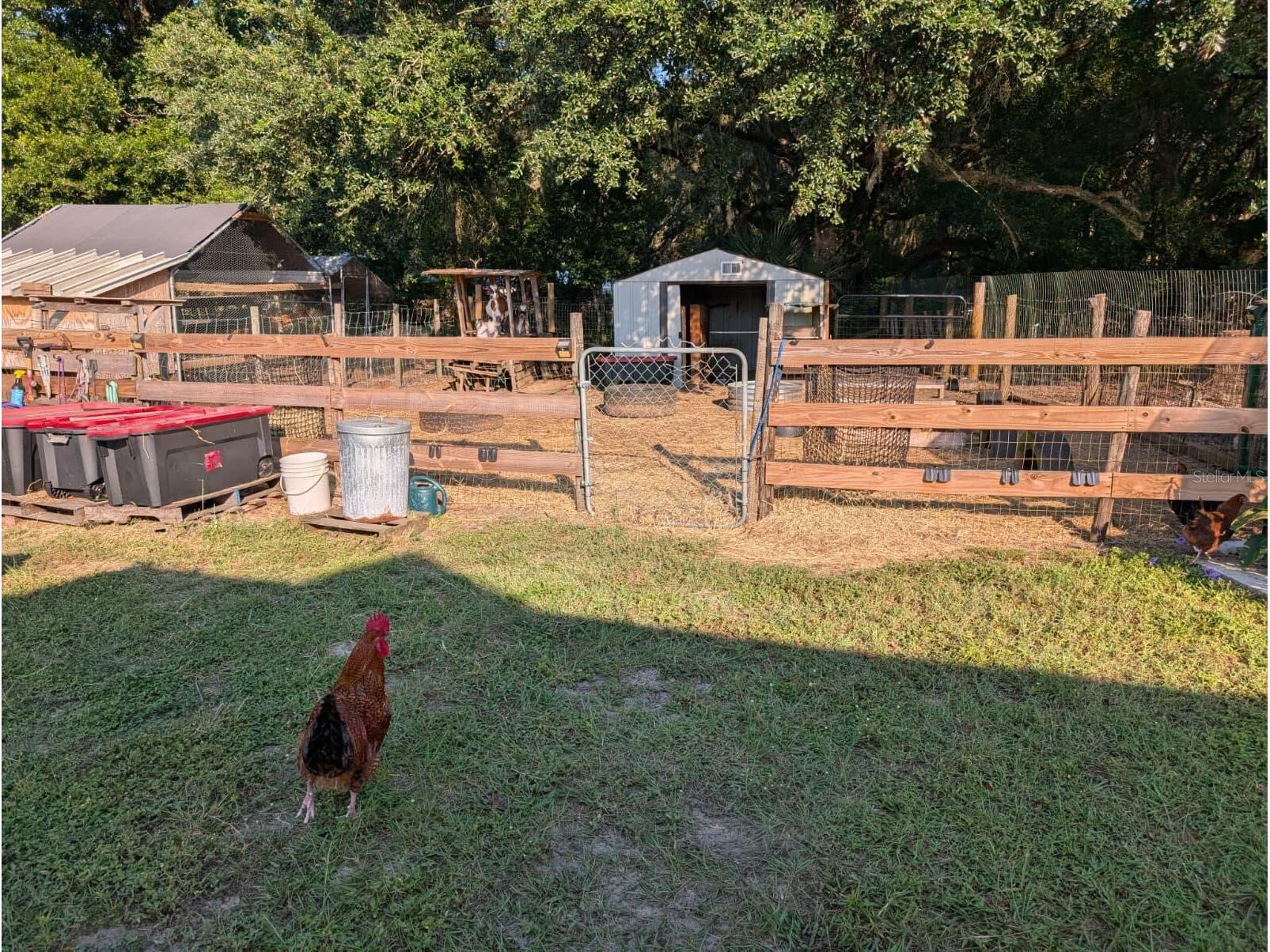 15243 S Highway 25 Weirsdale FL 32195 O6397100 image7