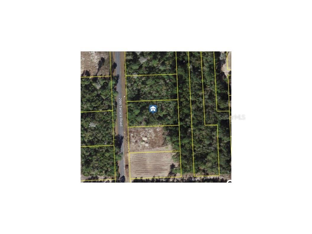 15243 SW 29th Terrace Road Ocala FL 34473 O6387763 image1