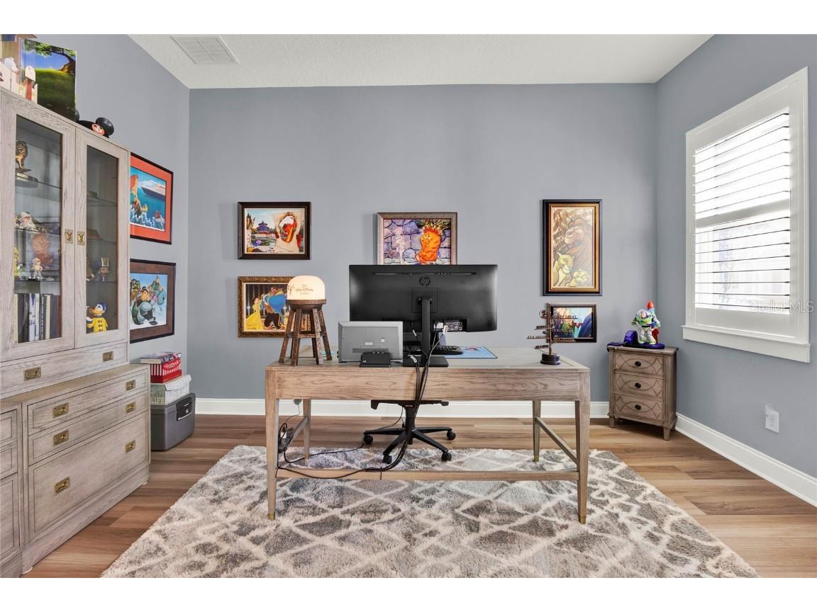 15245 Blue Peacock Lane Winter Garden FL 34787 O6345559 image19