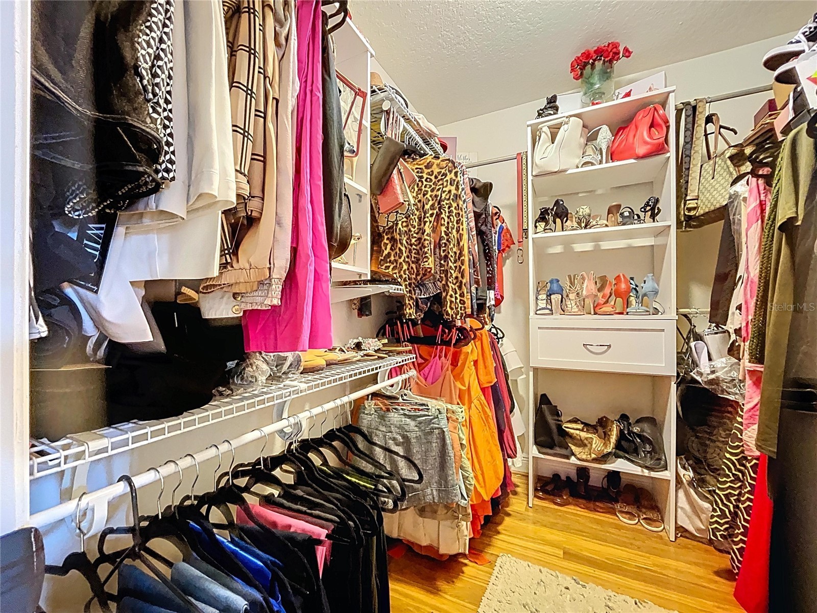 15246 Anguilla Isle Avenue Tampa FL 33647 TB8476630 image49