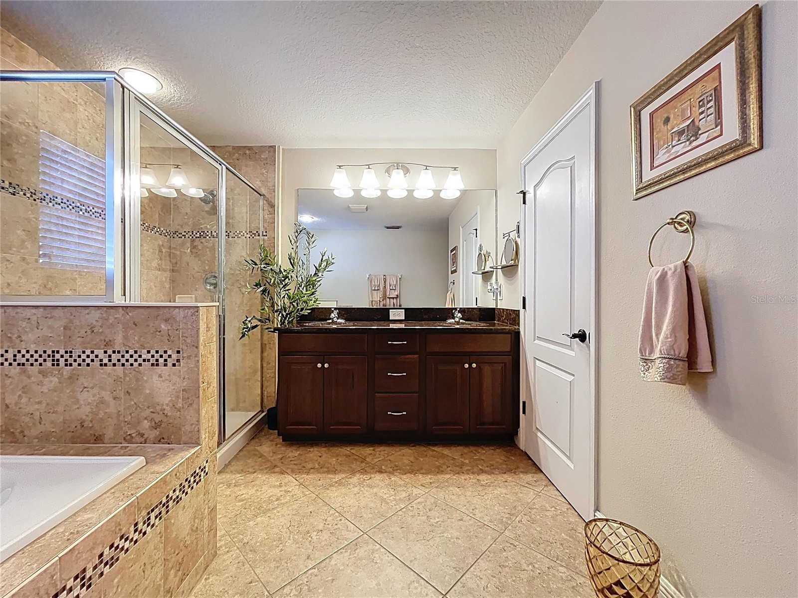 15246 Anguilla Isle Avenue Tampa FL 33647 TB8476630 image54