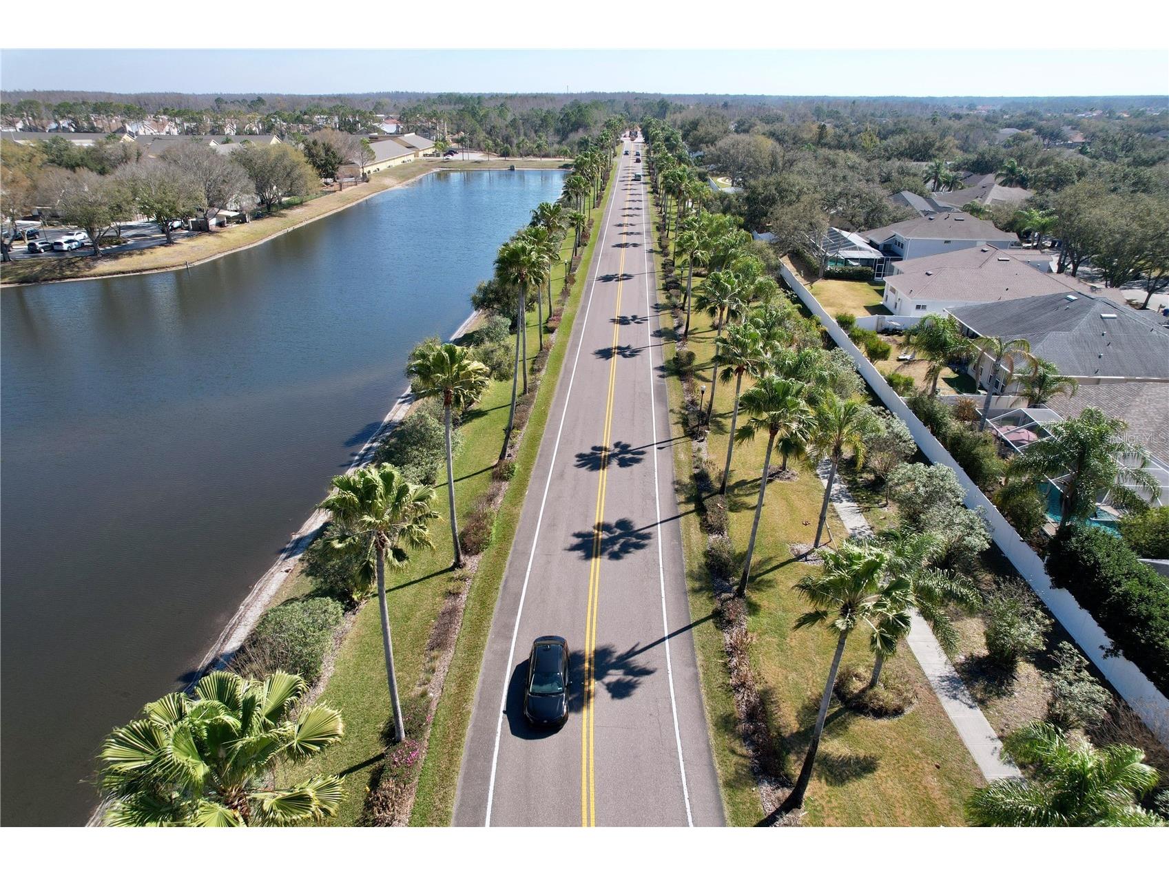 15246 Anguilla Isle Avenue Tampa FL 33647 TB8476630 image89