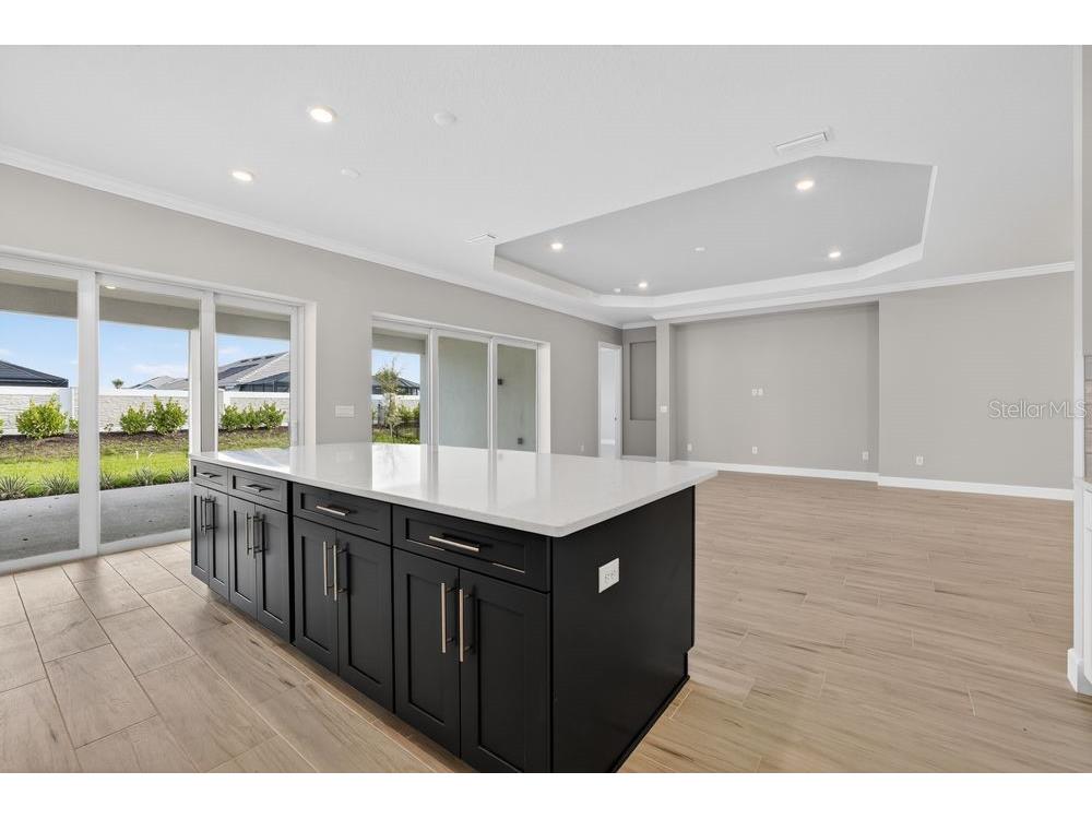15246 Contenta Loop Bradenton FL 34211 A4685421 image4