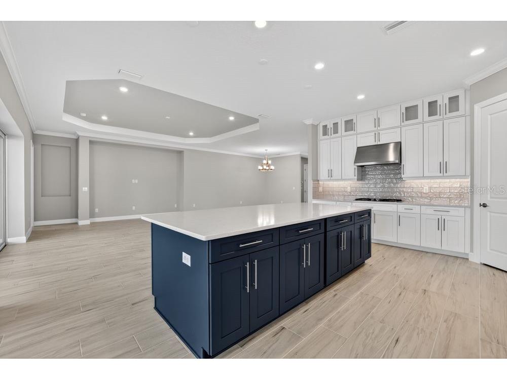 15246 Contenta Loop Bradenton FL 34211 A4685421 image7