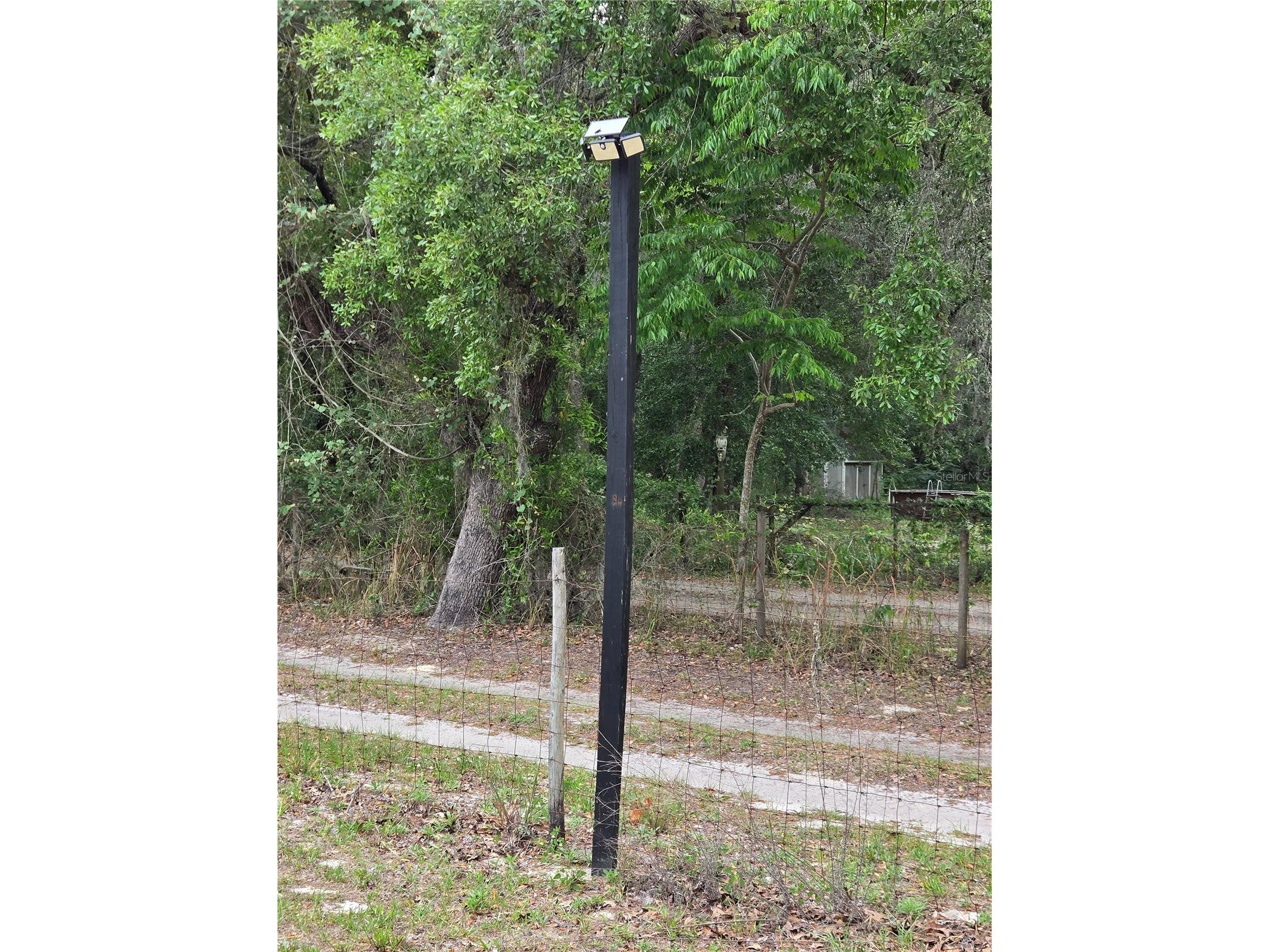 15246 Peace Boulevard Spring Hill FL 34610 W7885055 image26