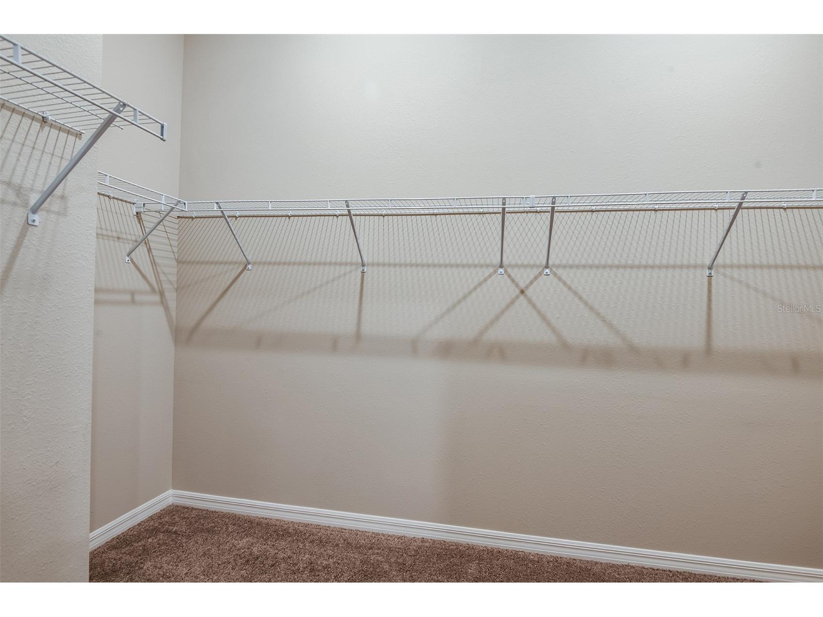 15249 Maude Landing Loop Wimauma FL 33598 TB8487569 image12