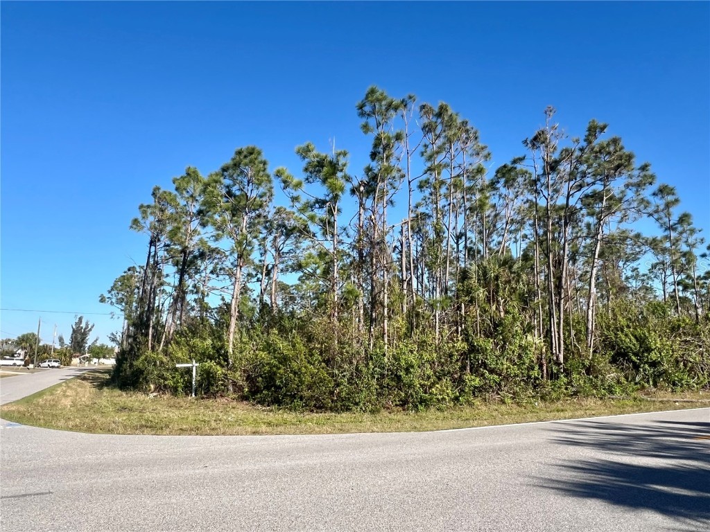 15249 Red Head Avenue Port Charlotte FL 33981 A4645152 image12