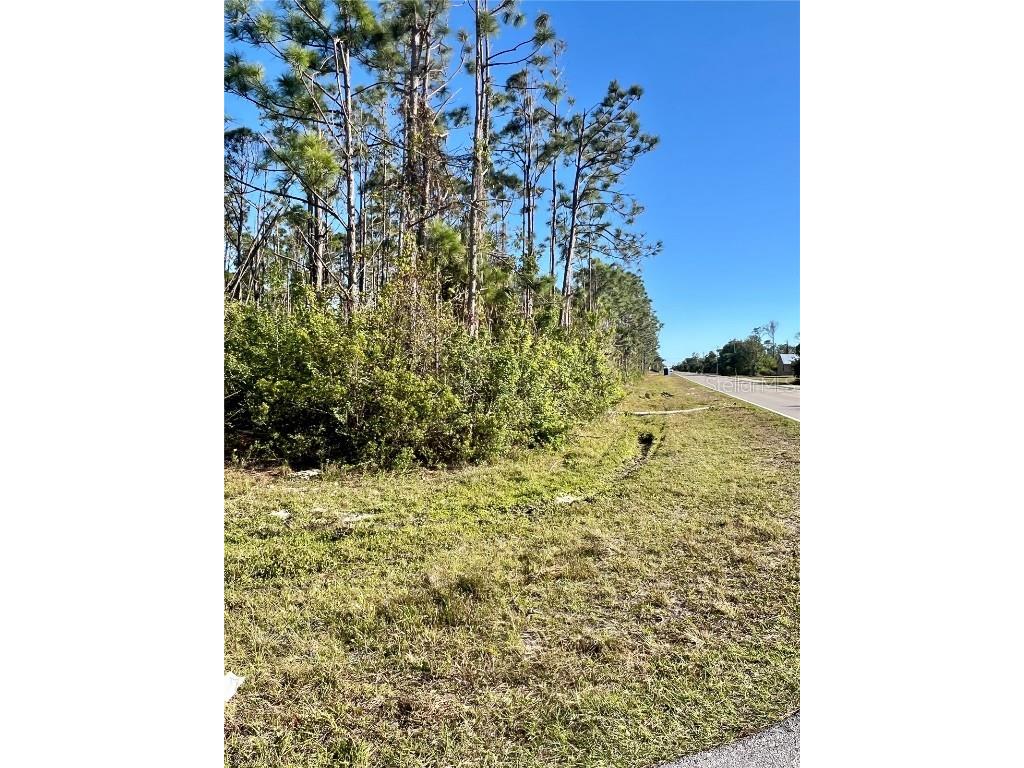 15249 Red Head Avenue Port Charlotte FL 33981 A4645152 image13