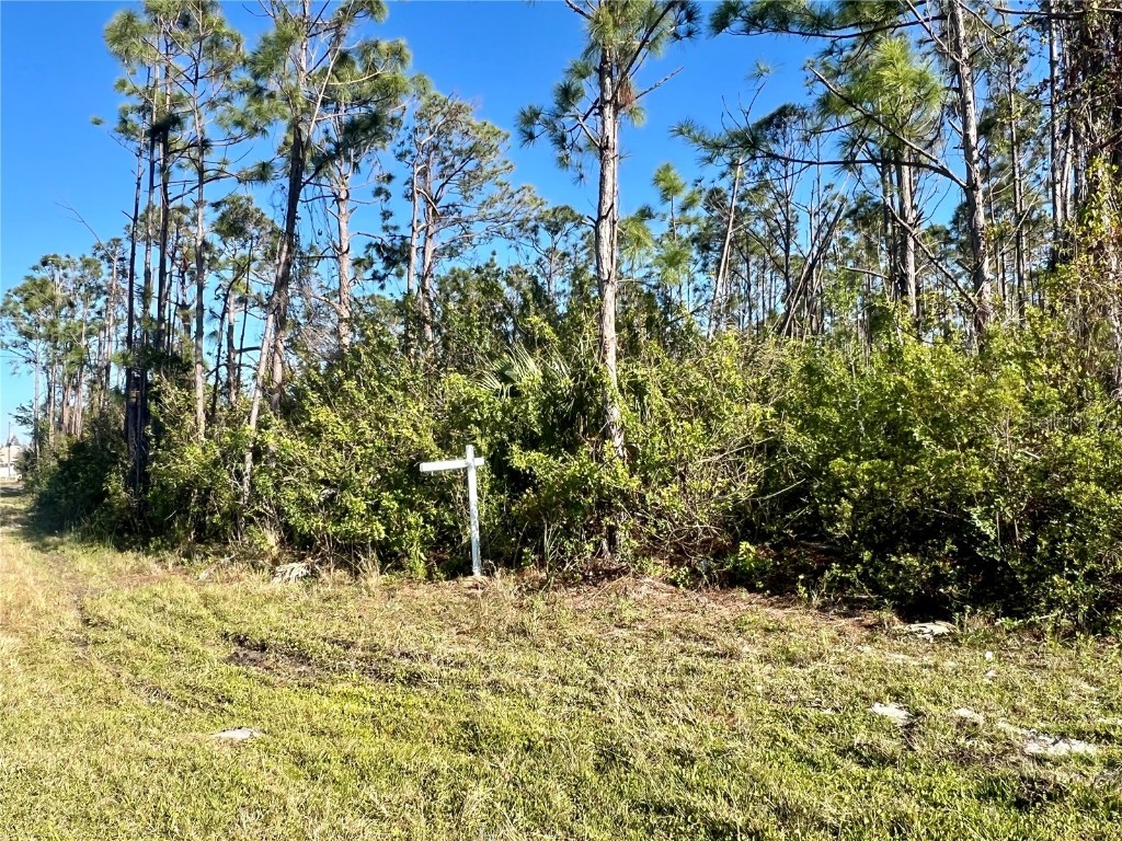 15249 Red Head Avenue Port Charlotte FL 33981 A4645152 image4