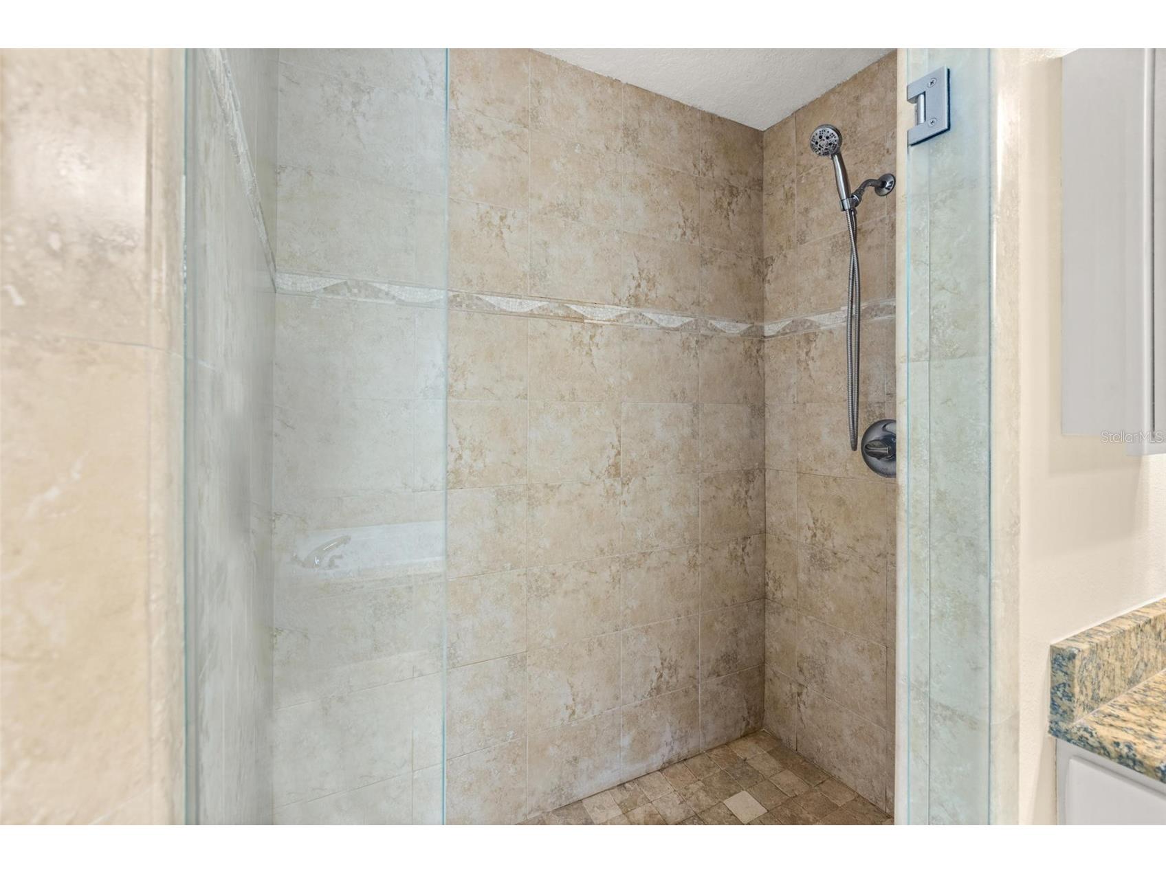 1525 Crooked Stick Drive Valrico FL 33596 TB8474896 image28