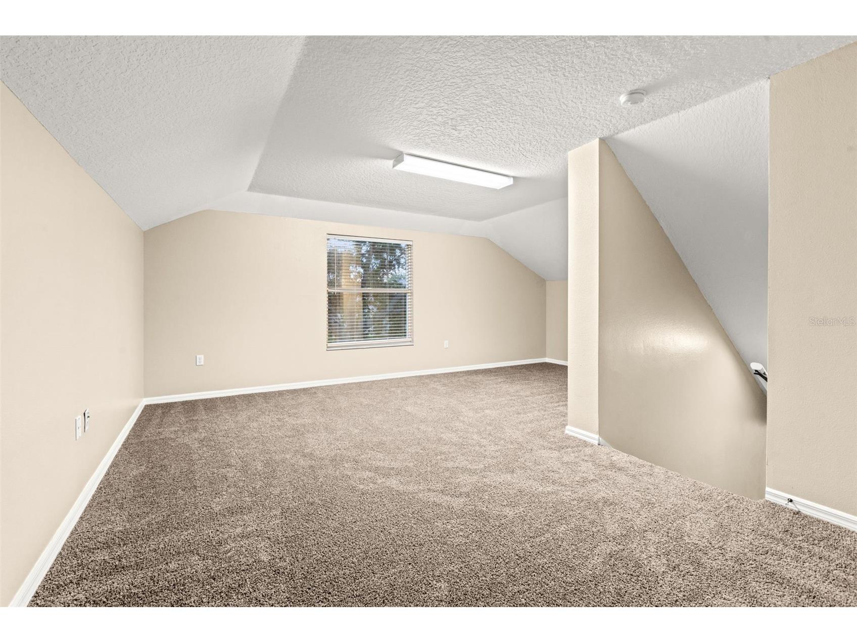 1525 Crooked Stick Drive Valrico FL 33596 TB8474896 image31