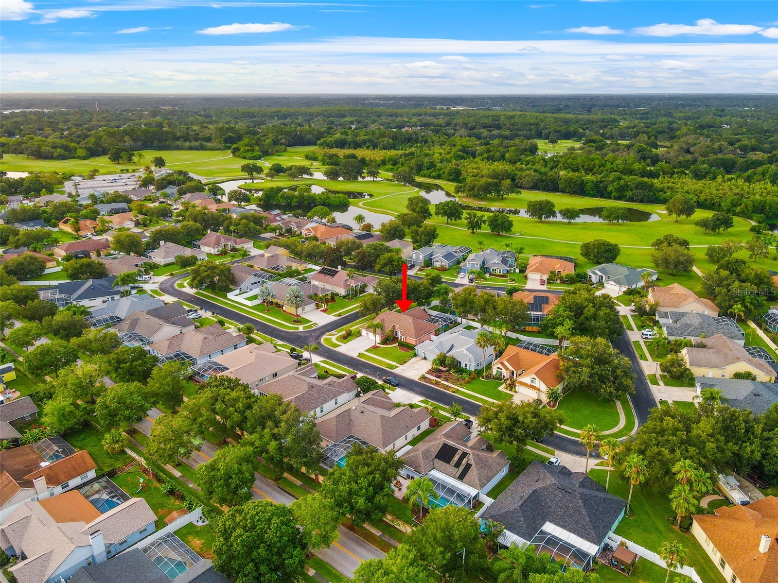 1525 Crooked Stick Drive Valrico FL 33596 TB8474896 image41