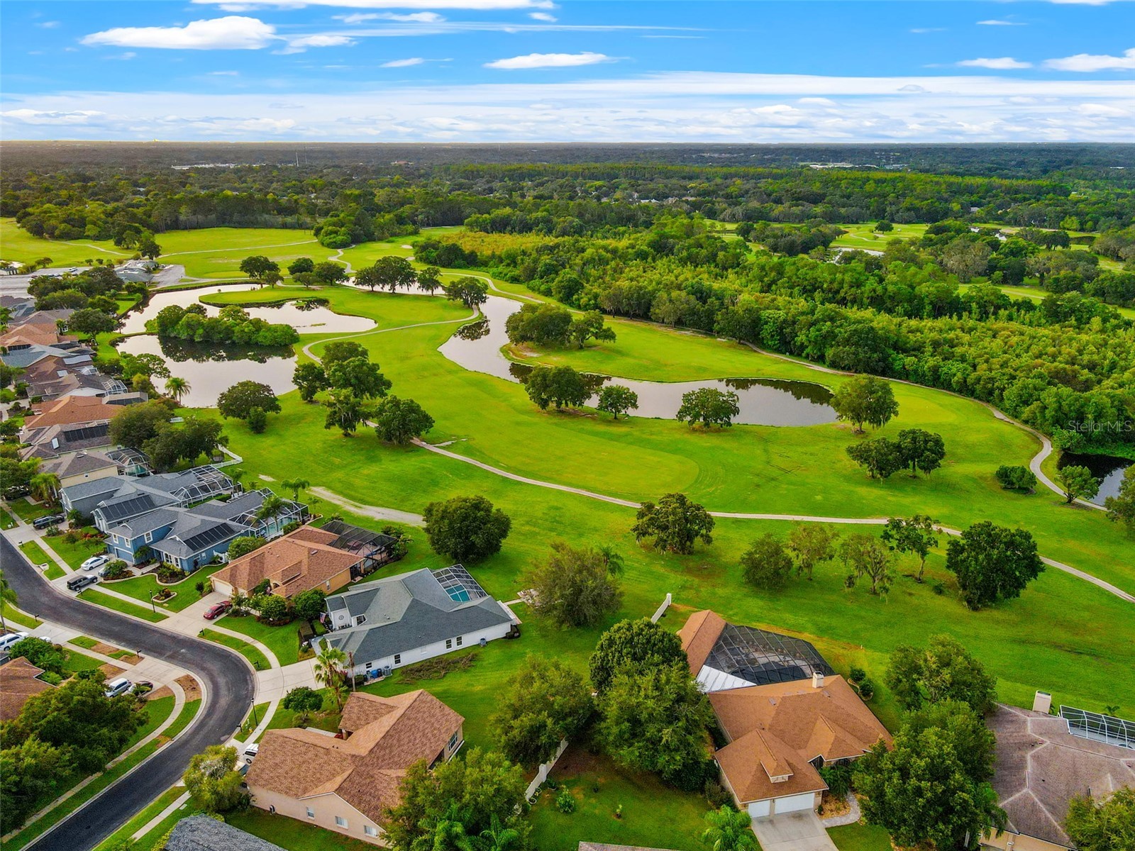 1525 Crooked Stick Drive Valrico FL 33596 TB8474896 image42