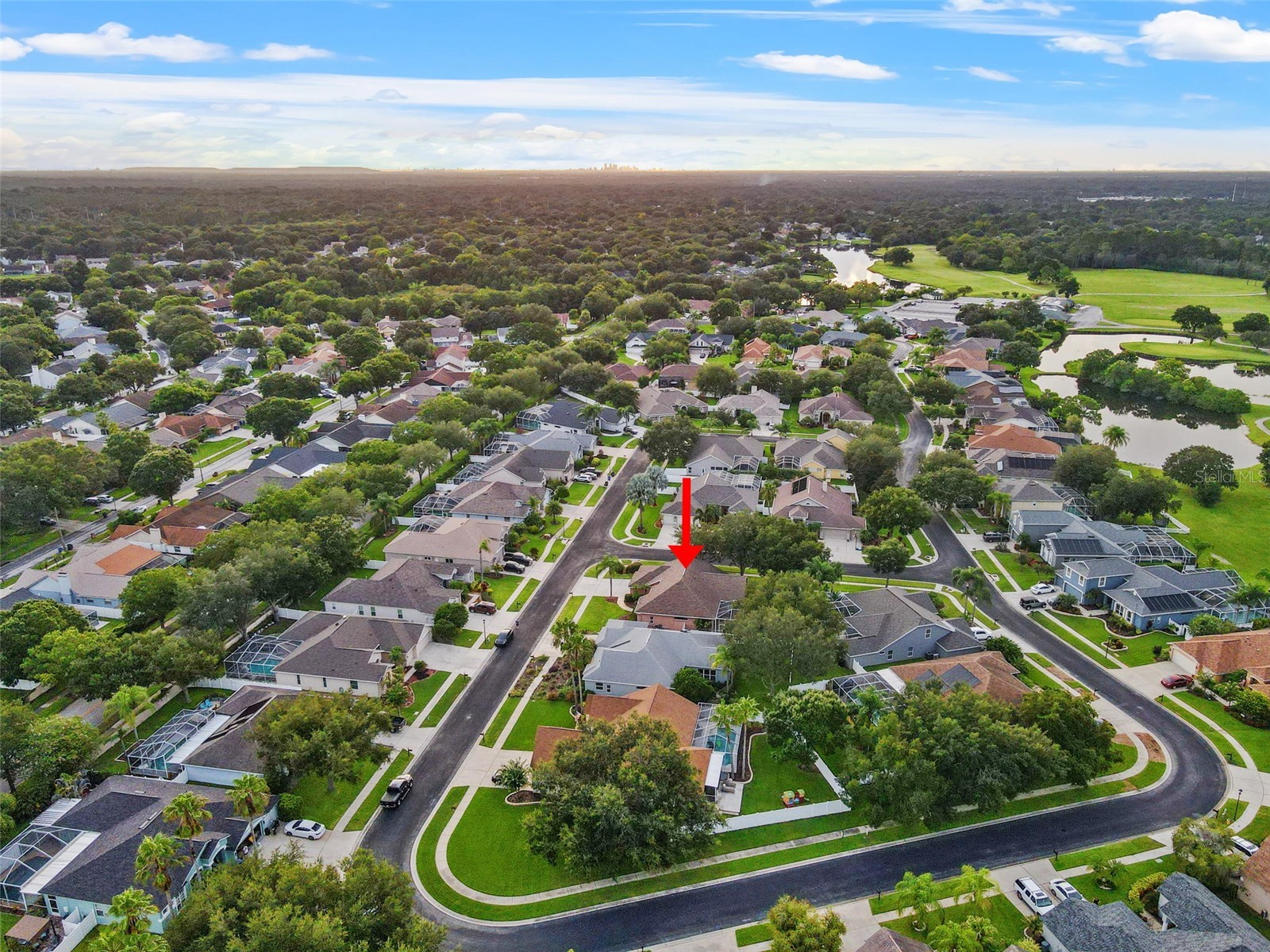 1525 Crooked Stick Drive Valrico FL 33596 TB8474896 image43