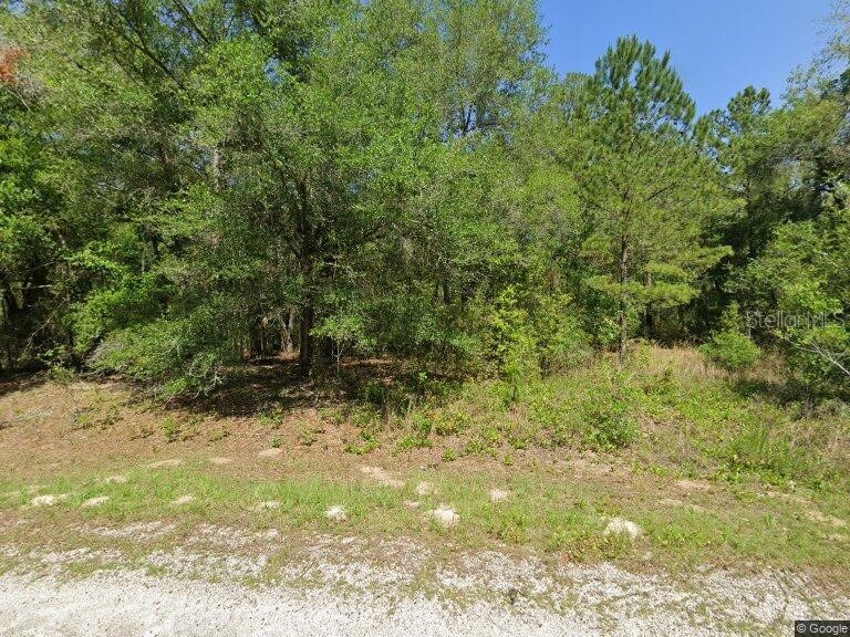 1525 E Badger Drive Dunnellon FL 34434 A4636380 image1