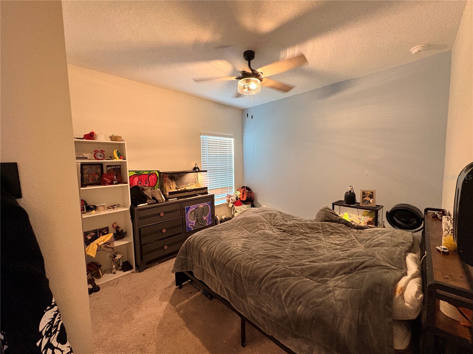 1525 NW 44th Court Road Ocala FL 34482 O6406998 image7