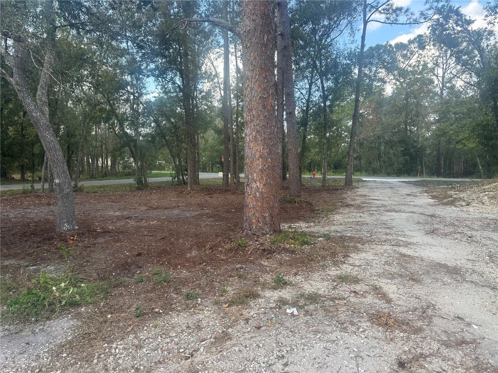 1525 Slash Pine Road Lakeland FL 33809 L4954573 image10